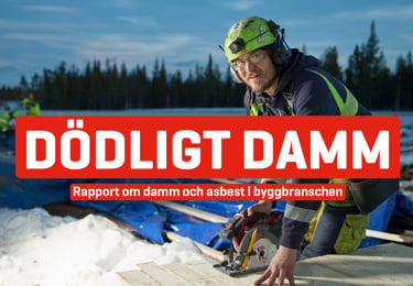 Rapport, dödligt damm